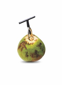 Excefore Coconut Opener for Fresh Green Young Coconut Water - Works With Peeled Thai Young White Coconuts - Open in Seconds Super Safe Easy and Fast  - Image 3