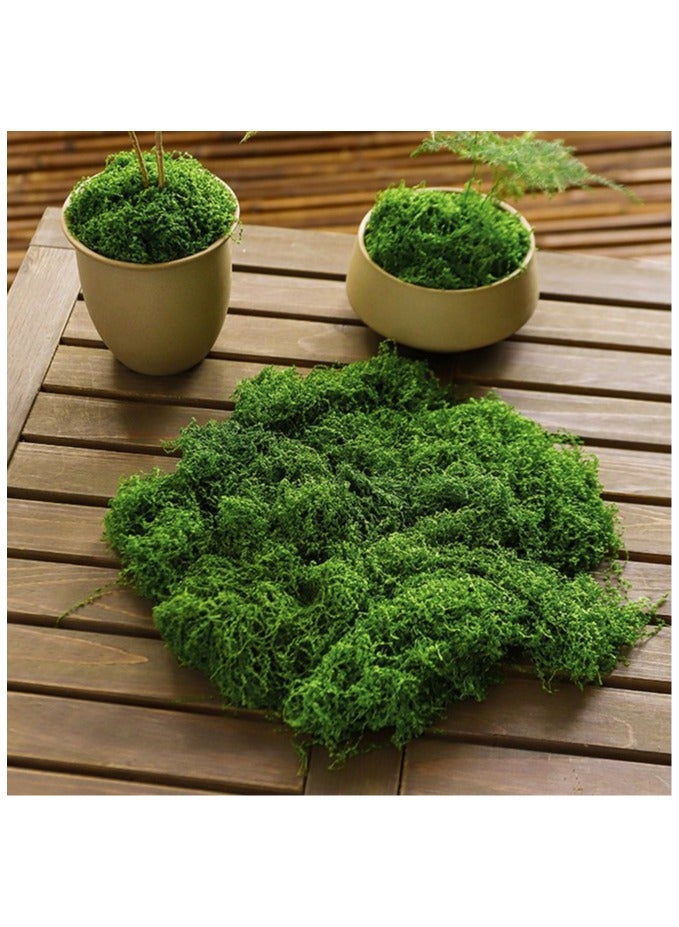 50 Grams Simulation Moss, Faux Moss Bionic Artificial Moss, Green Moss Micro Landscape Decor, DIY Green Plant For Lawn Potted Plant Paving Landscape Decoration, Outdoor Garden Yard Decor