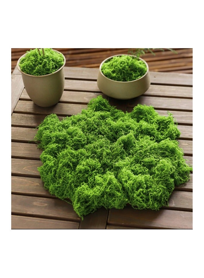 JAYATO 50 Grams Simulation Moss, Faux Moss Bionic Artificial Moss, Green Moss Micro Landscape Decor, DIY Green Plant For Lawn Potted Plant Paving Landscape Decoration, Outdoor Garden Yard Decor - Image 2