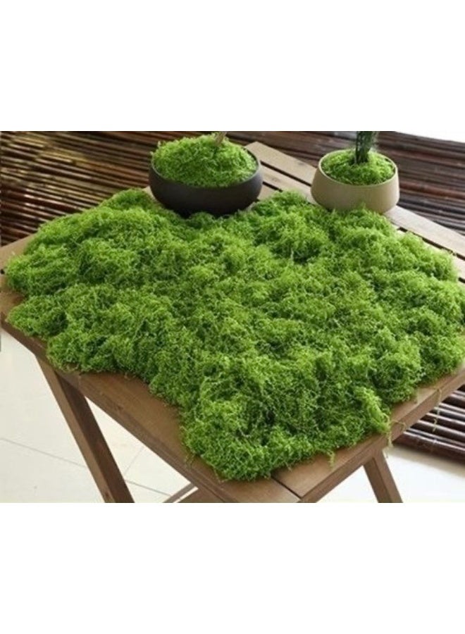 JAYATO 50 Grams Simulation Moss, Faux Moss Bionic Artificial Moss, Green Moss Micro Landscape Decor, DIY Green Plant For Lawn Potted Plant Paving Landscape Decoration, Outdoor Garden Yard Decor - Image 3
