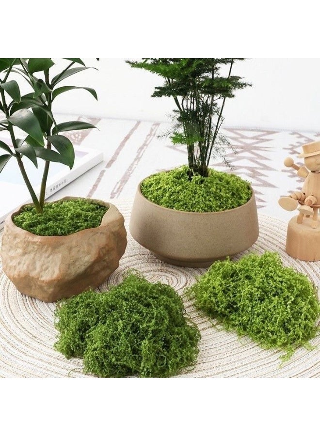 JAYATO 50 Grams Simulation Moss, Faux Moss Bionic Artificial Moss, Green Moss Micro Landscape Decor, DIY Green Plant For Lawn Potted Plant Paving Landscape Decoration, Outdoor Garden Yard Decor - Image 5