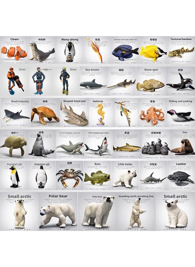 Simulation Marine Animal Biological Model Octopus Penguin Dolphin Diver Turtle Shark Scene Full Series-Color:S494 Diver Type C