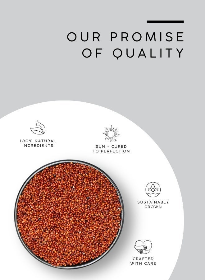 AWAFI MILL Red Quinoa Seeds 500 g | 17.6 Oz | Premium Whole Grain | Nutty Flavor & Firm Texture | Ideal for Salads, Bowls & Cooking | Naturally Gluten-Free Grain - Image 5