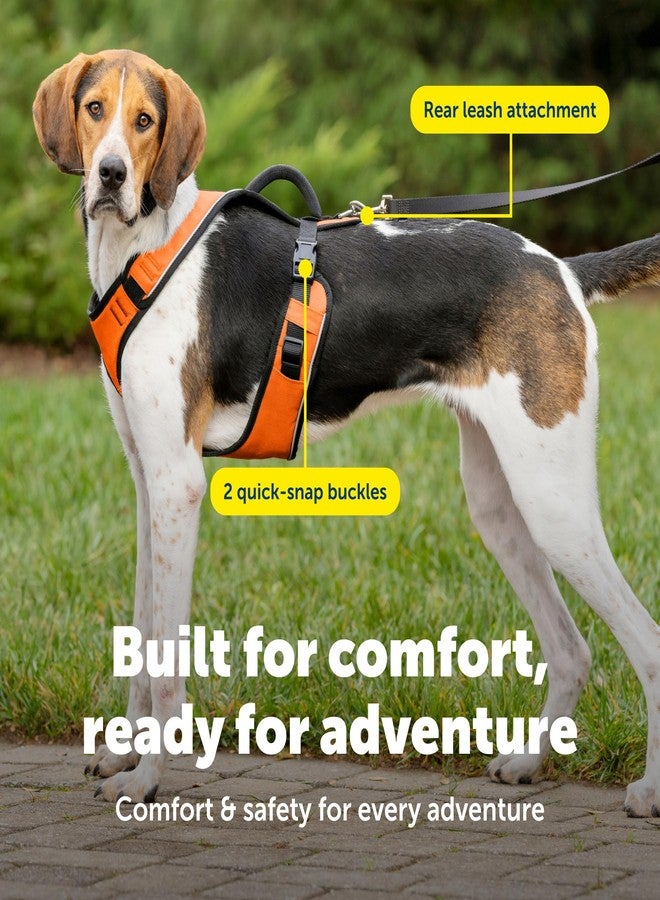 بيت سيف سرج PetSafe EasySport للكلاب، قابل للتعديل، مبطن، مزود بمقبض تحكم وحواف عاكسة، مقاس كبير، برتقالي - Image 4