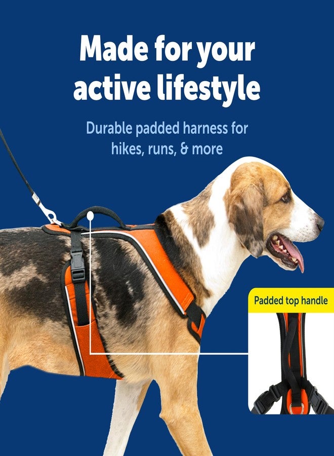 بيت سيف سرج PetSafe EasySport للكلاب، قابل للتعديل، مبطن، مزود بمقبض تحكم وحواف عاكسة، مقاس كبير، برتقالي - Image 3