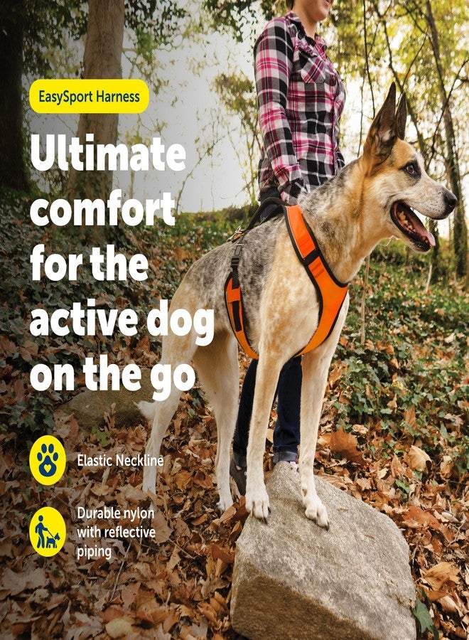 بيت سيف سرج PetSafe EasySport للكلاب، قابل للتعديل، مبطن، مزود بمقبض تحكم وحواف عاكسة، مقاس كبير، برتقالي - Image 2