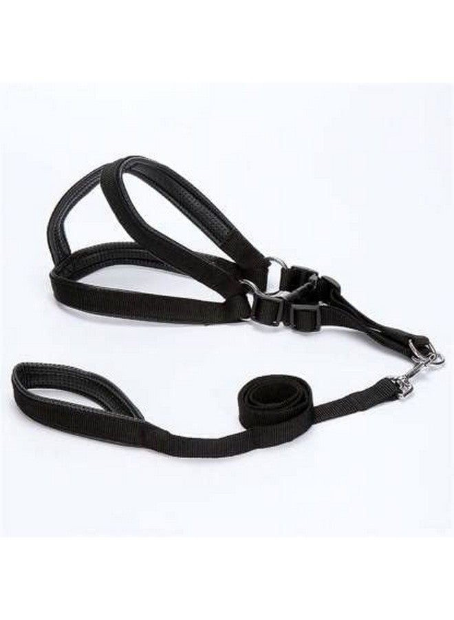 مجموعة حزام ومقود قابل للتعديل مبطن وناعم من النايلون للحيوانات الأليفة للجراء والكلاب متوسطة الحجم للتدريب في الهواء الطلق والجري (أسود) - Image 1