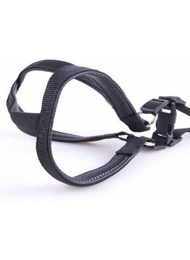 مجموعة حزام ومقود قابل للتعديل مبطن وناعم من النايلون للحيوانات الأليفة للجراء والكلاب متوسطة الحجم للتدريب في الهواء الطلق والجري (أسود) - Image 2