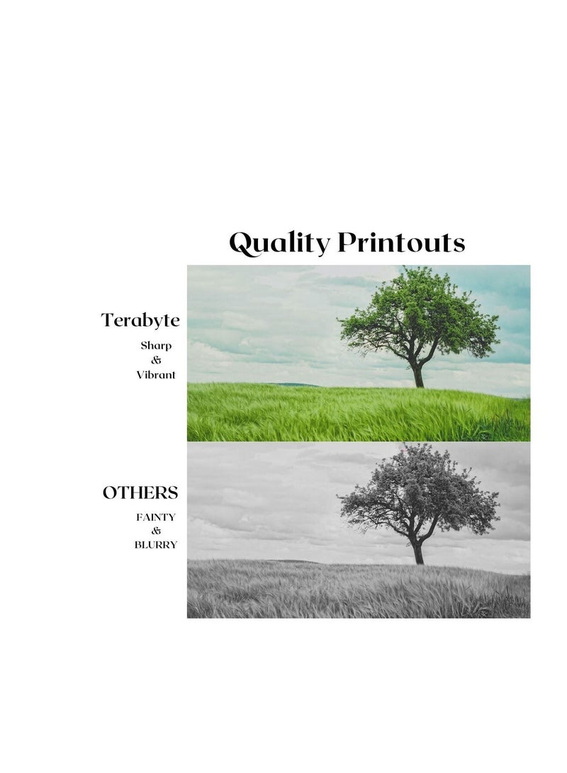 Terabyte MLT108S COMPATIBLE TONER TERABYTE - Image 4