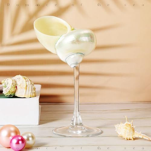Singhoow Conch Shell Wine Glasses Wedding Wine Cup Martini Goblet Cocktail Drinkware Drinking Stemware for Valentine Birthday Wedding Bridesmaids Anniversary PartyWhite ConchClear Base1 Pcs - Image 1