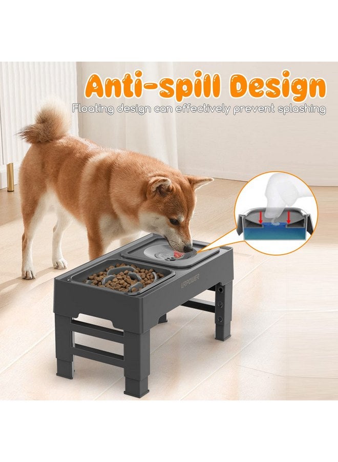 UR باور أوعية طعام بطيئة مرتفعة للكلاب 2 في 1 من URPOWER مع وعاء ماء للكلاب لا ينسكب، وعاء مرتفع للكلاب بارتفاع 4 قابل للتعديل، أوعية طعام وماء للكلاب غير قابلة للانزلاق مع حامل للكلاب الصغيرة والمتوسطة والكبيرة والقطط والحيوانات الأليفة - Image 5