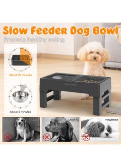 URPOWER 2-in-1 Elevated Slow Feeder Dog Bowls with No Spill Dog Water Bowl 4 Height Adjustable Raised Dog Bowl Non-Slip Dog Food and Water Bowls with Stand for Small Medium Large Dogs, Cats and Pets - pzsku/Z6C05E4C9339678A6235FZ/45/_/1737032058/dab88667-d8d2-41a4-ab5e-0dfd4d8e8dab