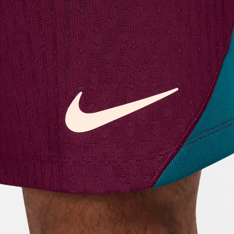Nike Purple Men's Paris Saint-Germain Strike Elite Dri-FIT ADV Football Shorts for Men | Best Price UAE