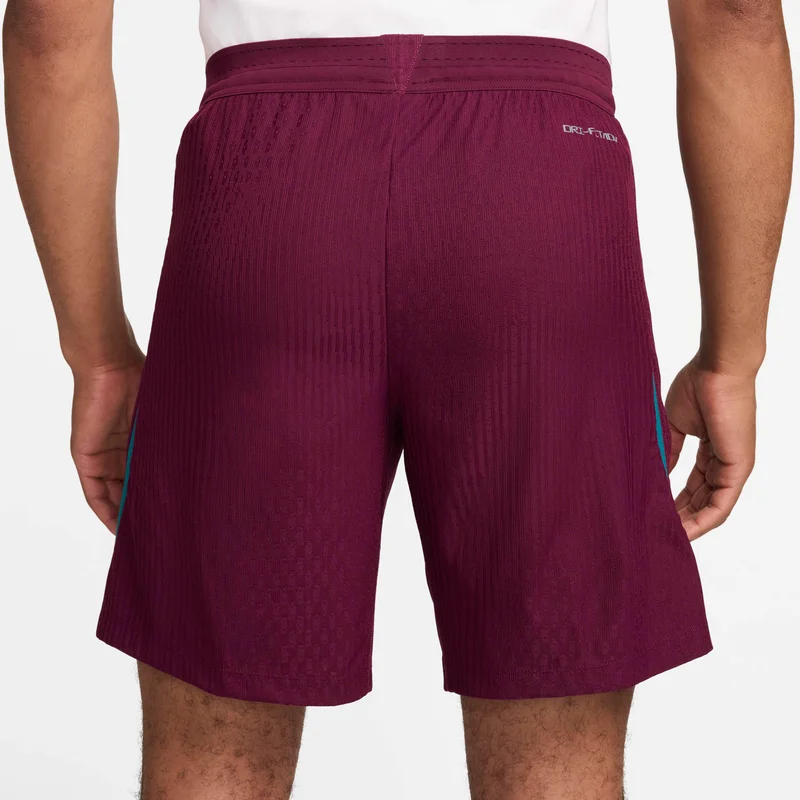 Nike Purple Men's Paris Saint-Germain Strike Elite Dri-FIT ADV Football Shorts for Men | Best Price UAE