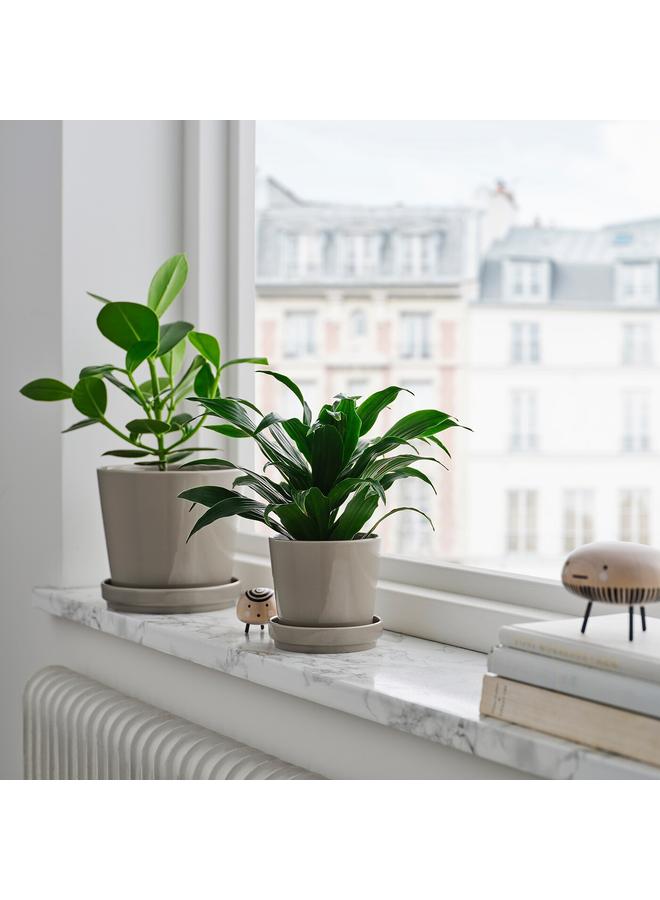 erorex Plant Pot With Saucer, In/Outdoor/Grey/Beige, 15 Cm - Image 1