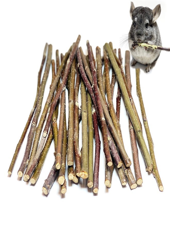 ECOVENIK Apple Sticks 120 gram Rabbit & Hamster Chew Toys - 100% Natural & Organic Chinchilla Food, Treats for Guinea Pig, Squirrels, Parrots & Other Small Animals (Made in Ukraine) - Image 1
