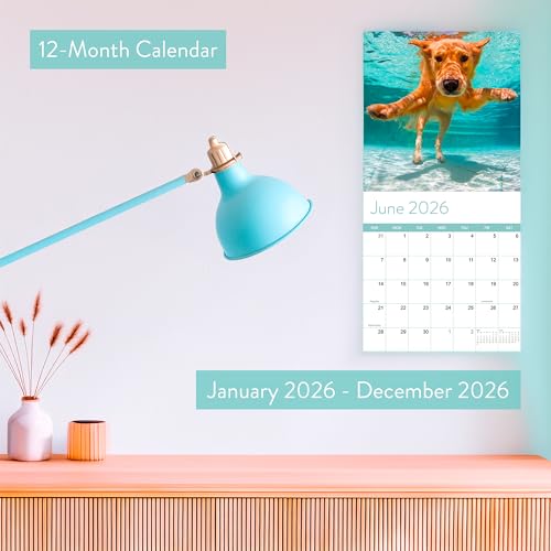 Eterna Goods 2026 Dog Wall Calendar | Cute Hanging Calendar with Adorable Dogs & Puppies Every Month, Large Monthly Fun Calendar Gift For Women & Men - Image 2