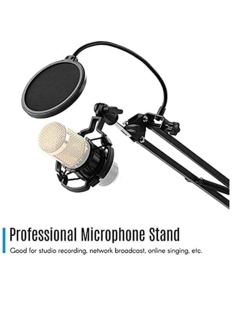 Arabest Microphone Arm Stand Arabest Broadcasting Studio Mic Suspension Scissor Boom with Mic Clip - Image 4