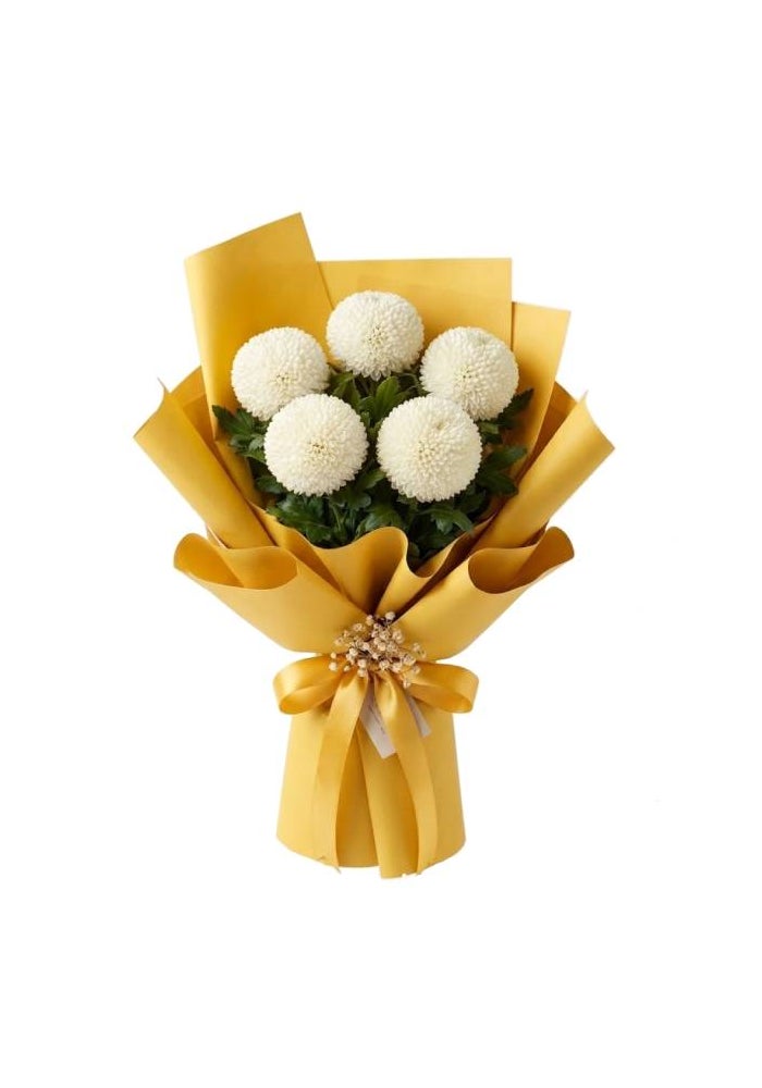 Chrysanthemum , White Ping Pong - 5 Stems, Malaysia