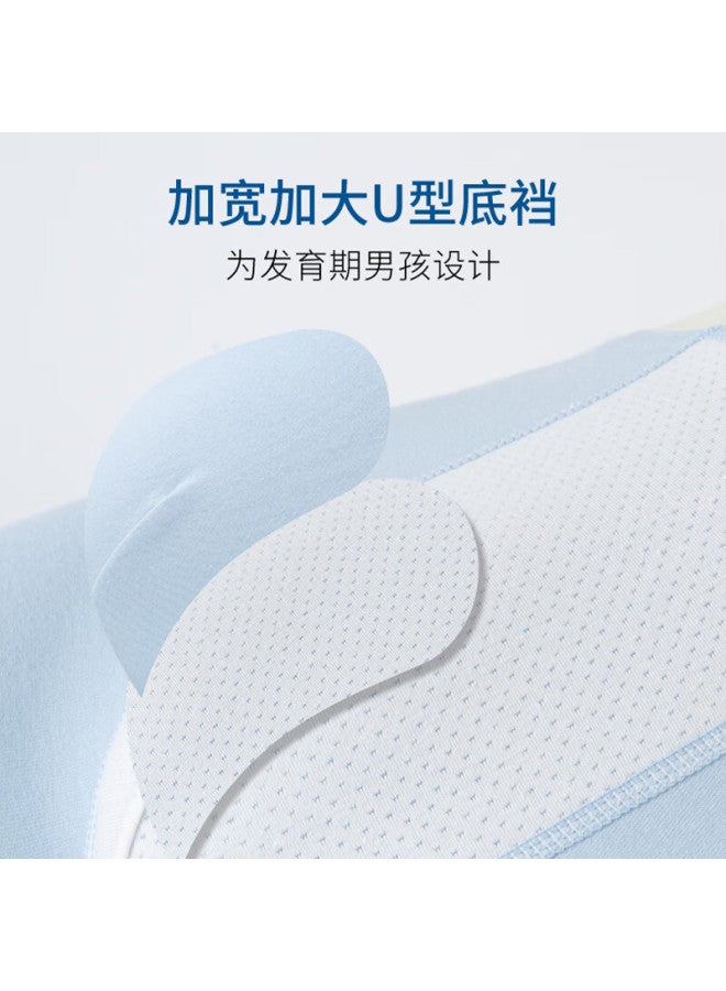 Dingguagua Youth Cotton Antibacterial Boxer Briefs For Boys, Middle And High School Students