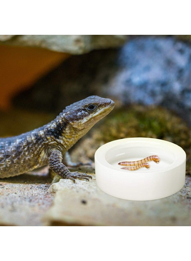 Meanplan 4 Pcs Reptile Bowl Reptile Food Dish Reptile Water Food Bowl Reptile Feeding Dish Ceramic Worm Pet Bowl Anti Escape For Lizard Anoles Bearded - Image 5