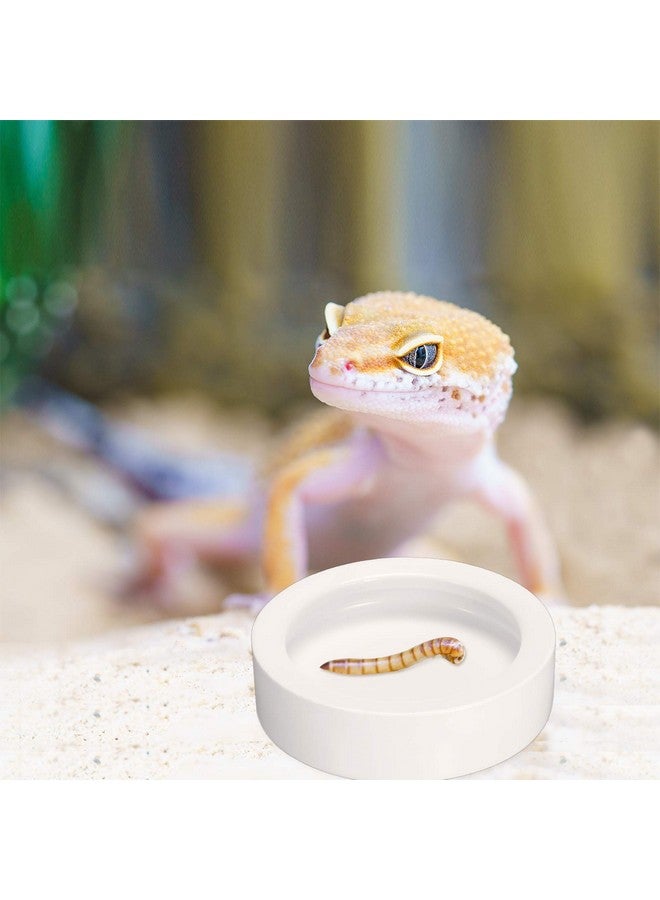 Meanplan 4 Pcs Reptile Bowl Reptile Food Dish Reptile Water Food Bowl Reptile Feeding Dish Ceramic Worm Pet Bowl Anti Escape For Lizard Anoles Bearded - Image 4