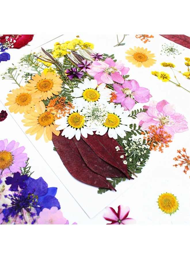 HOMESTAR 35 Pcs Dried Pressed Flowers for Resin, Real Pressed Flowers, Dry Leaves, Bulk Natural Herbs Kit for DIY Art Crafts, Epoxy Resin Jewelry Molds, Candle, Soap Making, Nails Decor - Image 2
