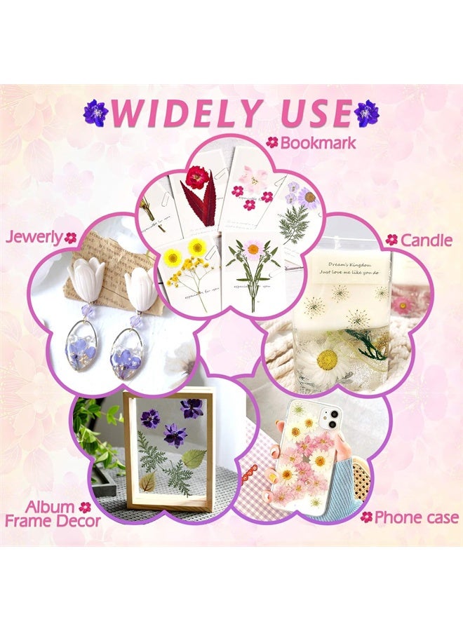 HOMESTAR 35 Pcs Dried Pressed Flowers for Resin, Real Pressed Flowers, Dry Leaves, Bulk Natural Herbs Kit for DIY Art Crafts, Epoxy Resin Jewelry Molds, Candle, Soap Making, Nails Decor - Image 4