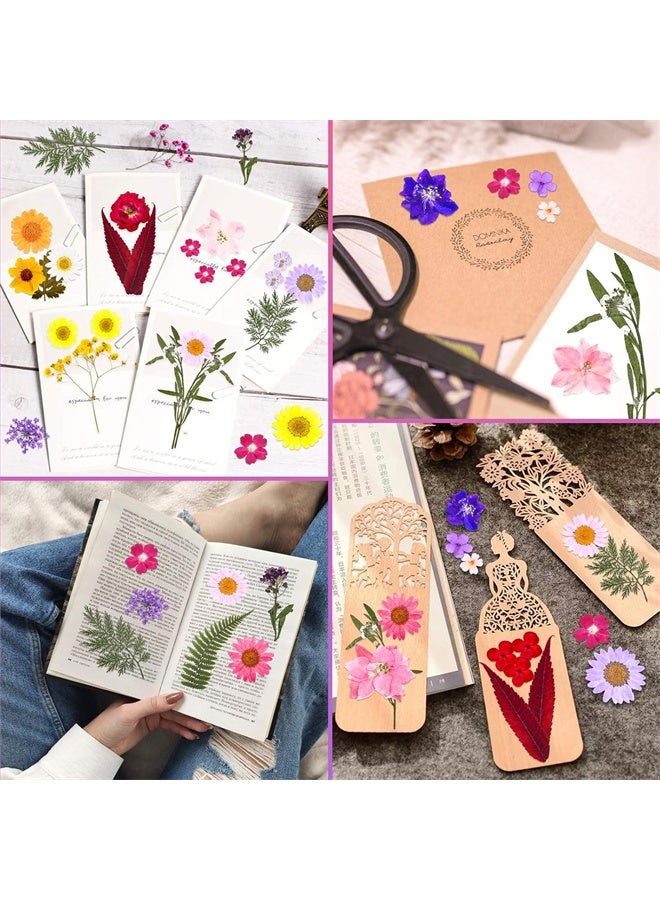 HOMESTAR 35 Pcs Dried Pressed Flowers for Resin, Real Pressed Flowers, Dry Leaves, Bulk Natural Herbs Kit for DIY Art Crafts, Epoxy Resin Jewelry Molds, Candle, Soap Making, Nails Decor - Image 3