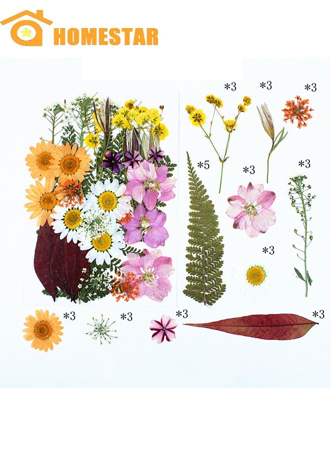 HOMESTAR 35 Pcs Dried Pressed Flowers for Resin, Real Pressed Flowers, Dry Leaves, Bulk Natural Herbs Kit for DIY Art Crafts, Epoxy Resin Jewelry Molds, Candle, Soap Making, Nails Decor - Image 1