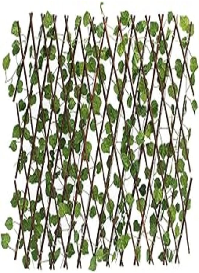 Generic Wall Curtain with 40% Persian Wood 200cm, Green) 