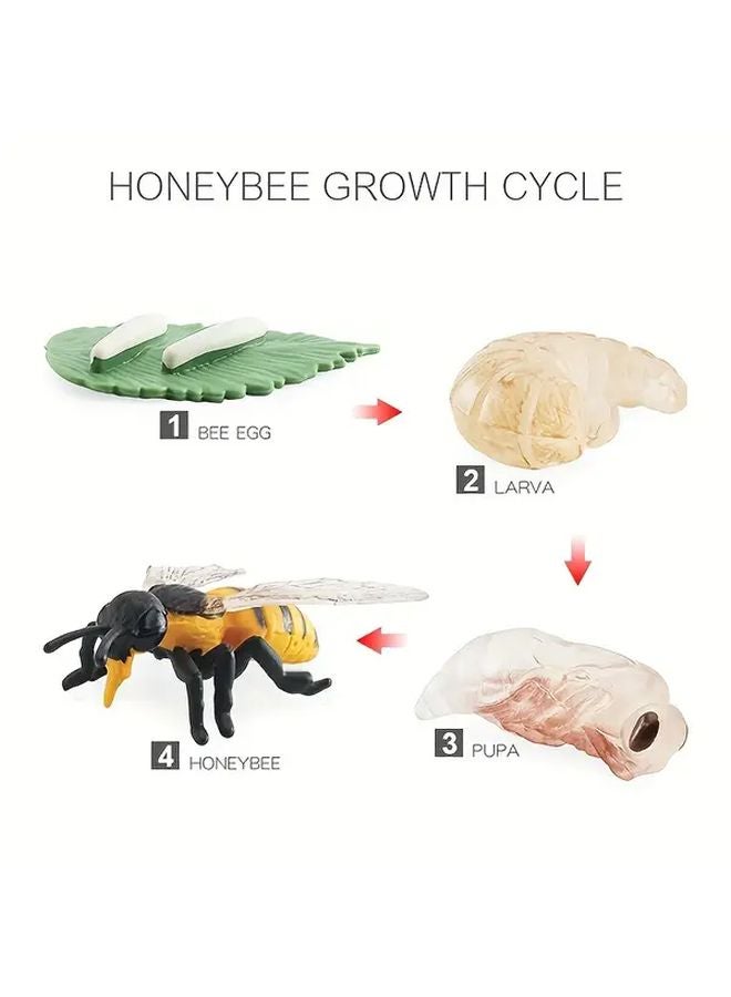 محاكاة دورة حياة النمو لعبة حشرات نموذج 2404 نحلة فراشة سرعوف معدة تعليمية لرياض الأطفال - Image 1