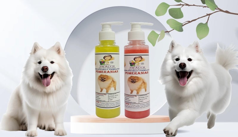 SWACCH Premium Shampoo for Pomeranian (200ML) (Combo Pack of 2) Lemon & Jasmine - Image 2