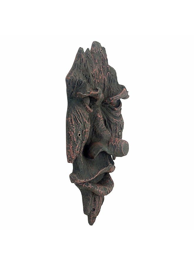 Design Toscano Nottingham Woods Greenman Tree Face Indoor/Outdoor Fantasy Wall Sculpture, 15 inches tall, Cast Stone Resin, Woodtone Finish - Image 4
