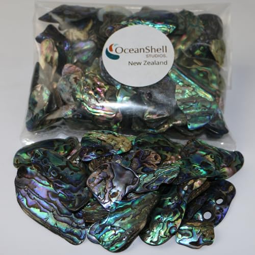 Abalone Pua Shell Pieces705oz Packfor Crafts Jewelry Making Resin Art Inlay Home Decorations Fishtank Supplies DIY Projects  Satin Small Size 60 98 1525 mm 705oz 200grams
