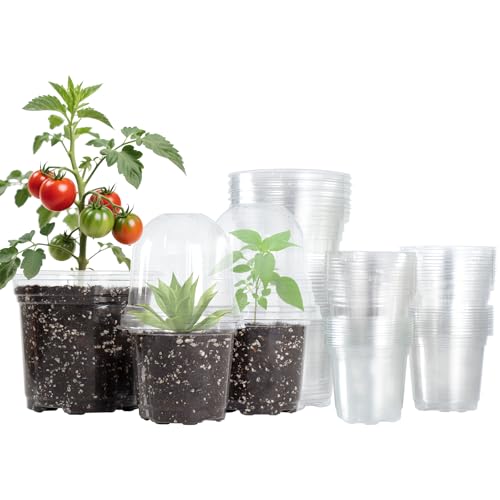 Bluepro 36 Packs 5/4/3.5 Inch Clear Nursery Pots with Humidity Domes, Transparent Plant Pots with Drainage Holes, Variety Pack Seedling Pots for Vegetable Propagation, Root Cutting, Seed Starting - Image 1