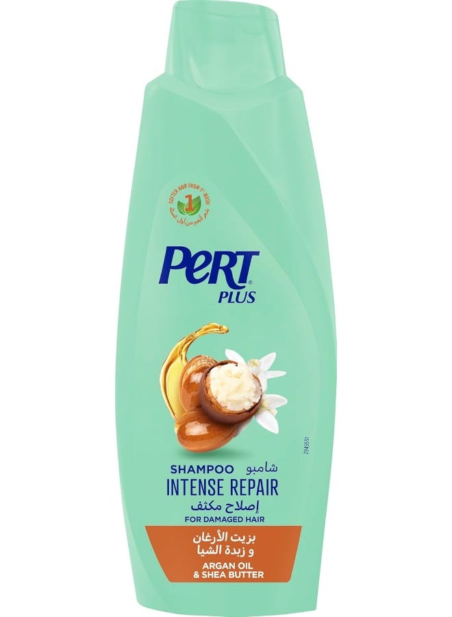 Pert Plus Shampoo - Intense Repair with Argan Oil & Shea Butter, 600ml - Image 1
