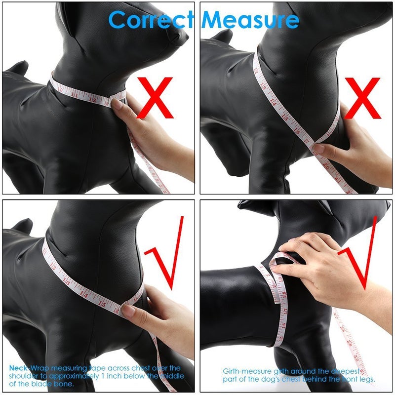 QQPETS Dog Harness Leash Set Adjustable Heavy Duty No Pull Halter Harnesses for Small Medium Large Breed Dogs Back Clip Anti-Twist Perfect for Walking (M(19"-26" Chest Girth), Yellow Bee) - Image 5