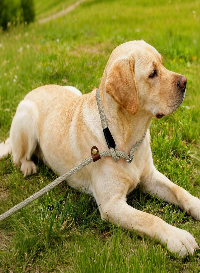 nets Tribe 6 FT Dog Leash for Large, Medium Dogs, Heavy Duty Dog Lead with Leather Tailor Connection, No Pull Training Lead Durable Rope Slip Leash, for Outside Walking, Playing, Camping, Yard (Light Brown) - Image 3