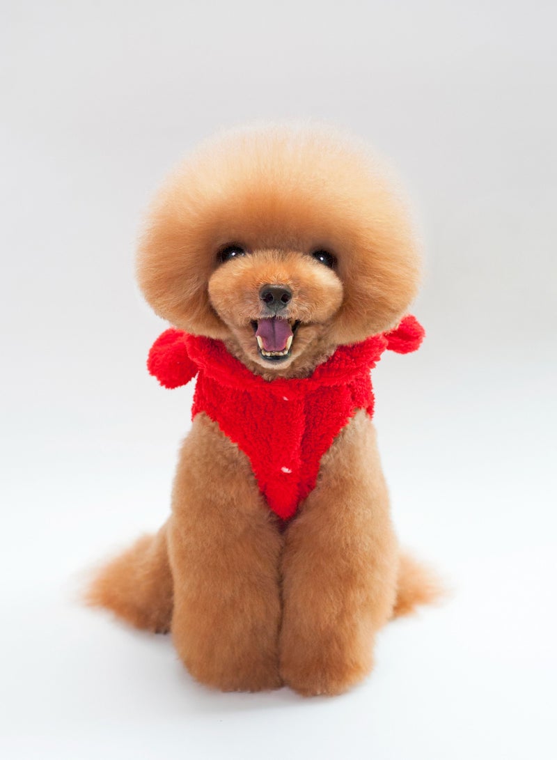 Loquat A pet dog wears a coat and a hat Red - Image 1