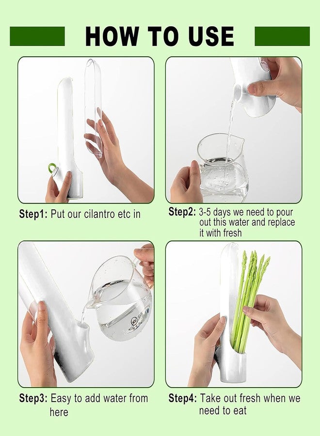 Ristpal 3Pack Herb Saver for Refrigerator for Cilantro, Parsley, Asparagus, Mint,Vegetable Preservation Containers, Keeps Greens Vegetables for 2-3 Weeks - Image 5