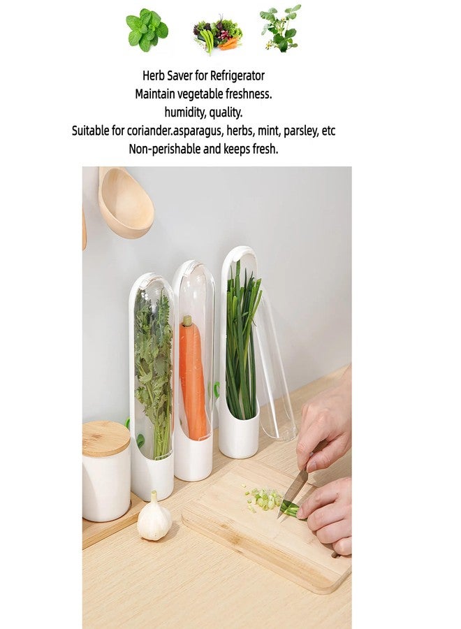 Ristpal 3Pack Herb Saver for Refrigerator for Cilantro, Parsley, Asparagus, Mint,Vegetable Preservation Containers, Keeps Greens Vegetables for 2-3 Weeks - Image 3