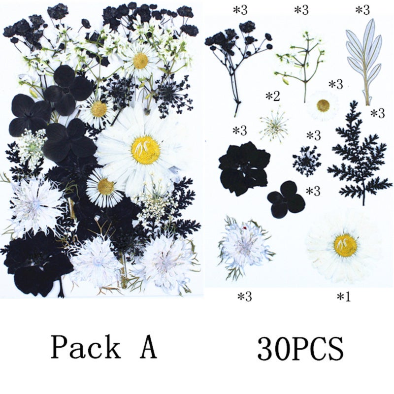 Dried Pressed Flowers: 2 Color (Black, White) Ready-to-Use Craft Materials - Long-Lasting Natural Beauty Pressed Flower Materials for DIY Artists, Crafters and Resin Art Projects