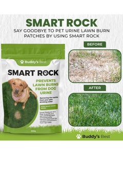 Buddy 200g Smart Rocks Natural Pet Water Enhancer and Lawn Saver Mineral Based Solution for Dogs Reduces Nitrates and Ammonia Supports Hydration and Healthy Green Grass  - Image 2