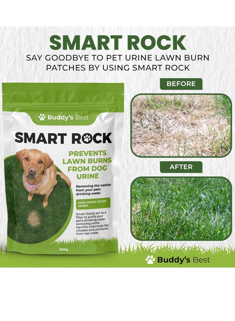 بادي 200 جرام من Smart Rocks محلول معدني طبيعي معزز لمياه الحيوانات الأليفة ومُحافظ على العشب للكلاب يقلل النترات والأمونيا يدعم الترطيب والعشب الأخضر الصحي - Image 2