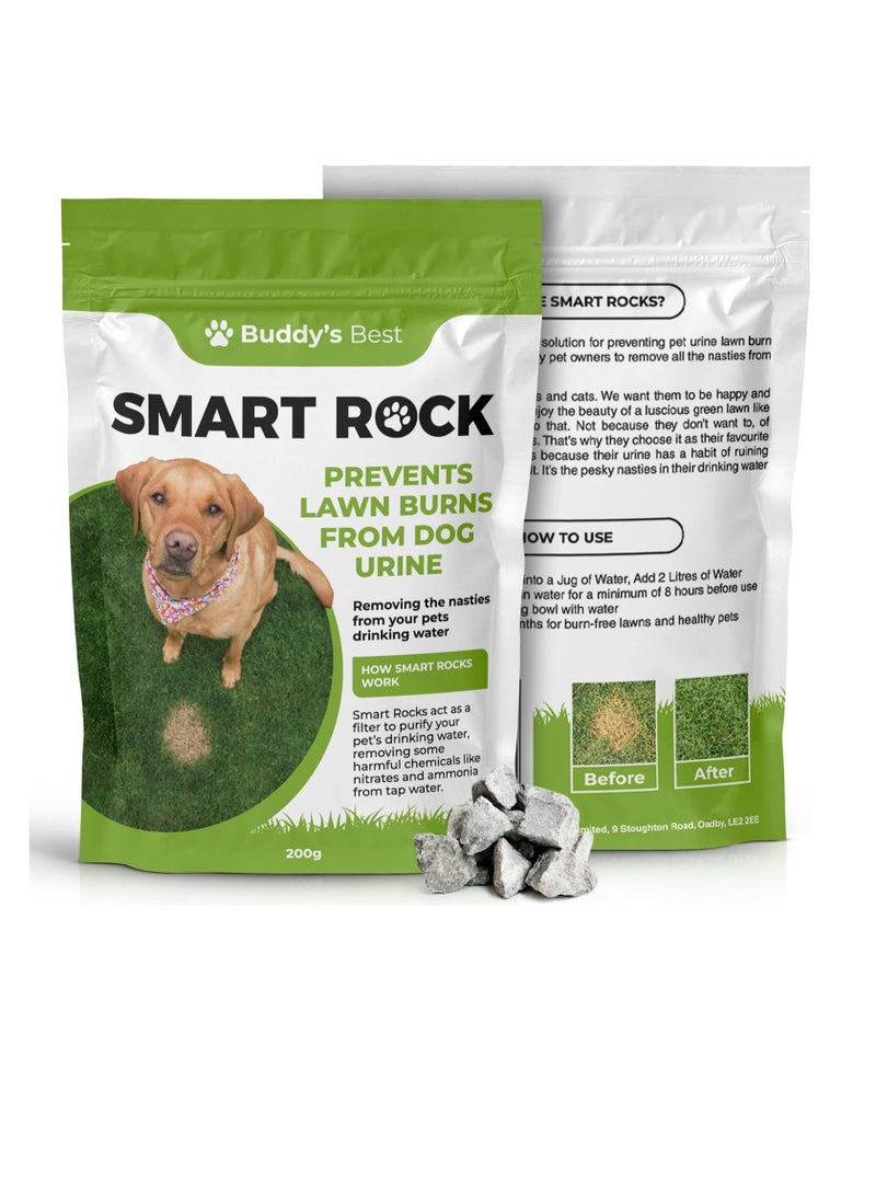 بادي 200 جرام من Smart Rocks محلول معدني طبيعي معزز لمياه الحيوانات الأليفة ومُحافظ على العشب للكلاب يقلل النترات والأمونيا يدعم الترطيب والعشب الأخضر الصحي - Image 1