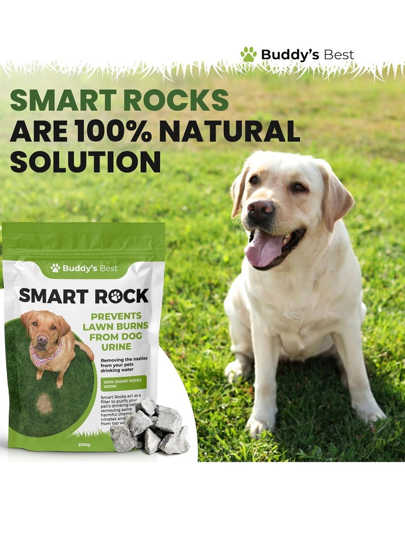 بادي 200 جرام من Smart Rocks محلول معدني طبيعي معزز لمياه الحيوانات الأليفة ومُحافظ على العشب للكلاب يقلل النترات والأمونيا يدعم الترطيب والعشب الأخضر الصحي - Image 3