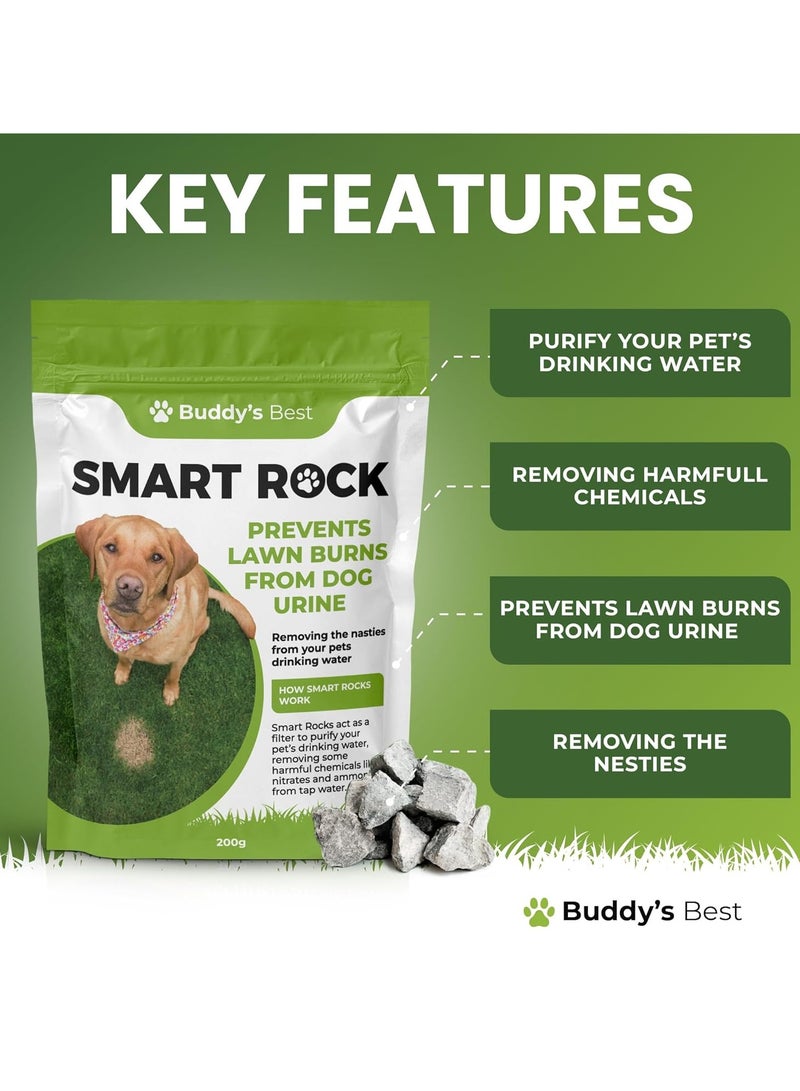بادي 200 جرام من Smart Rocks محلول معدني طبيعي معزز لمياه الحيوانات الأليفة ومُحافظ على العشب للكلاب يقلل النترات والأمونيا يدعم الترطيب والعشب الأخضر الصحي - Image 4