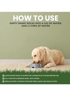 Buddy 200g Smart Rocks Natural Pet Water Enhancer and Lawn Saver Mineral Based Solution for Dogs Reduces Nitrates and Ammonia Supports Hydration and Healthy Green Grass  - Image 5