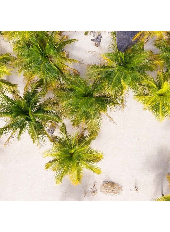 Pour Moi Tropical Moistureburst Mask Climatesmarthot & Humid Weather - Image 3